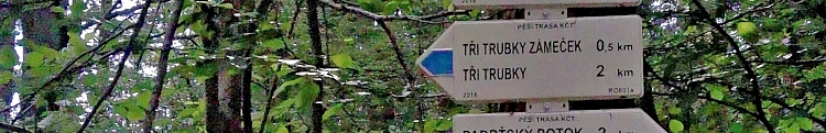 Brdská vločka