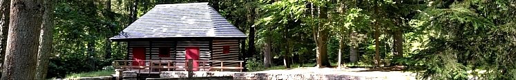 Brdská vločka