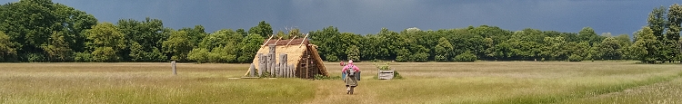 Dyje