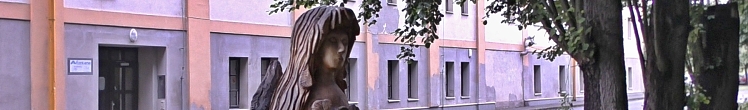 Vrch Plešivec