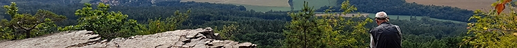 Plešivec