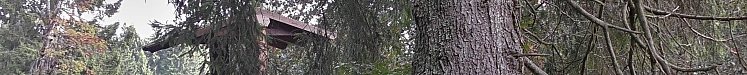 Kynžvart