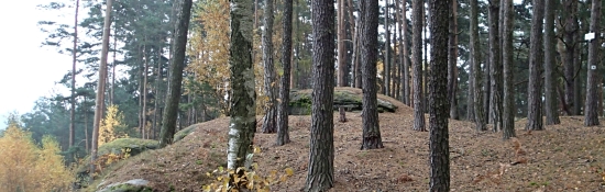 Zahrádky - Kvítkov