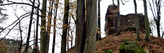 Svojkovský hrad