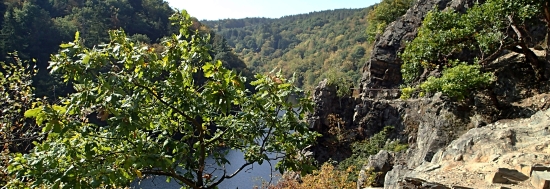 Svatojánské proudy