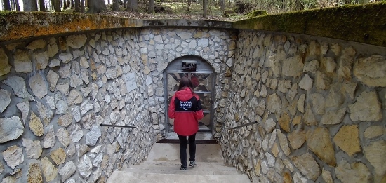 Bozkovské dolomitové jeskyně