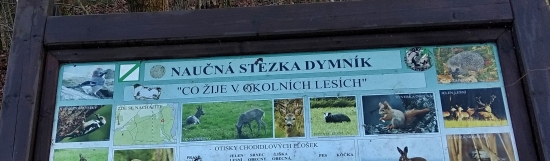 Vrch Dymník