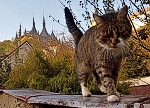 Kutná Hora