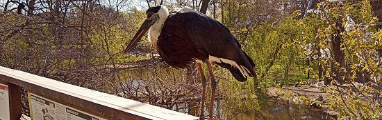 ZOO Praha
