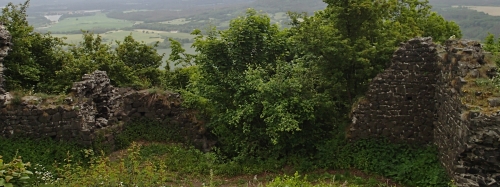 Ronov