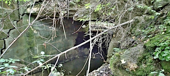 Most mrtvých