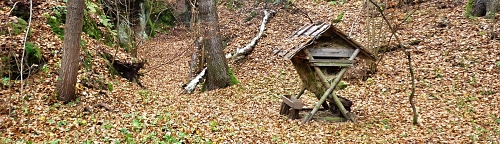 mokřady