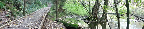 Robečský potok