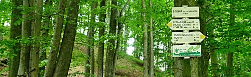 Vrch Šedina