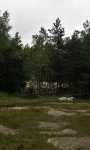 foto Jinsko