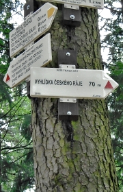 foto Jinsko