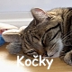 Nae koky
